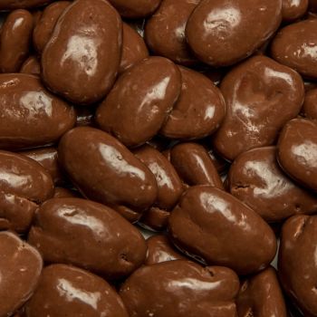 Sugar Free Chocolate Covered Pecans from Alamo Pecan & Coffee in San Saba, TX